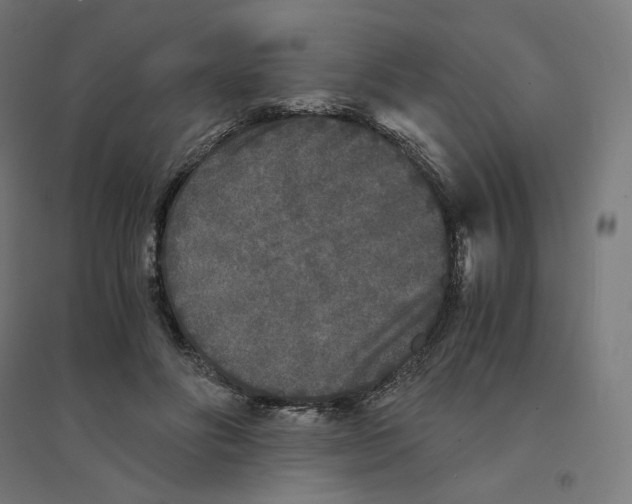 X0000094430502200712061117