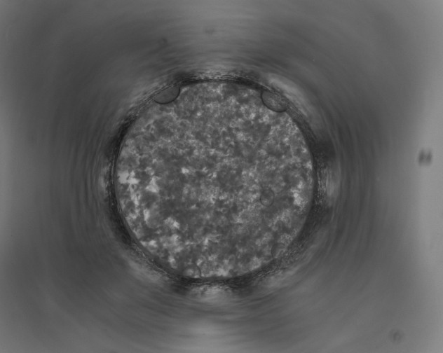 X0000094430503200712061117