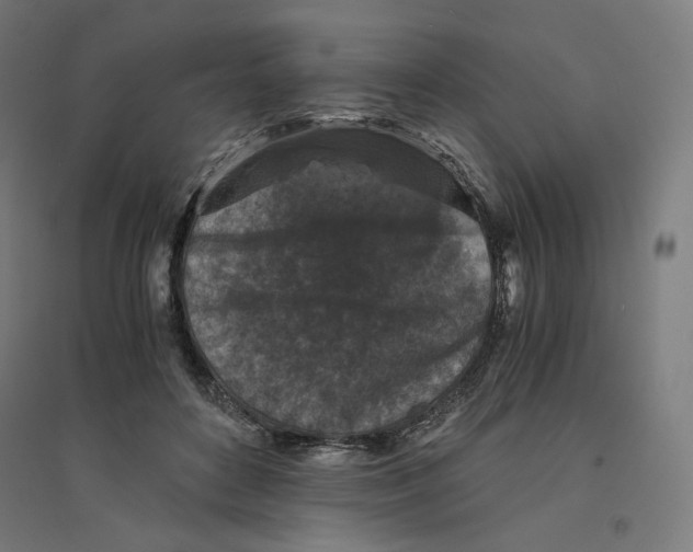 X0000094430504200712061117