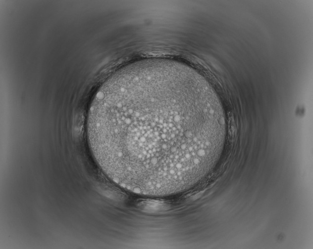 X0000094430507200712061117