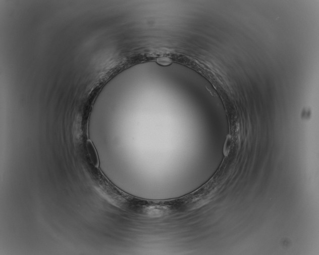 X0000094430508200712061117