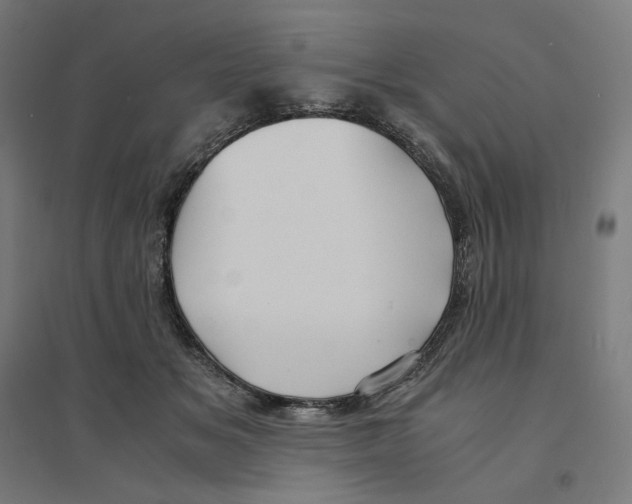 X0000094430509200712061117