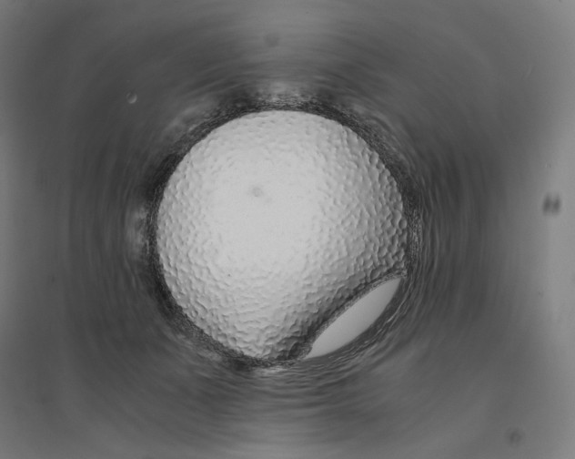 X0000094430511200712061117