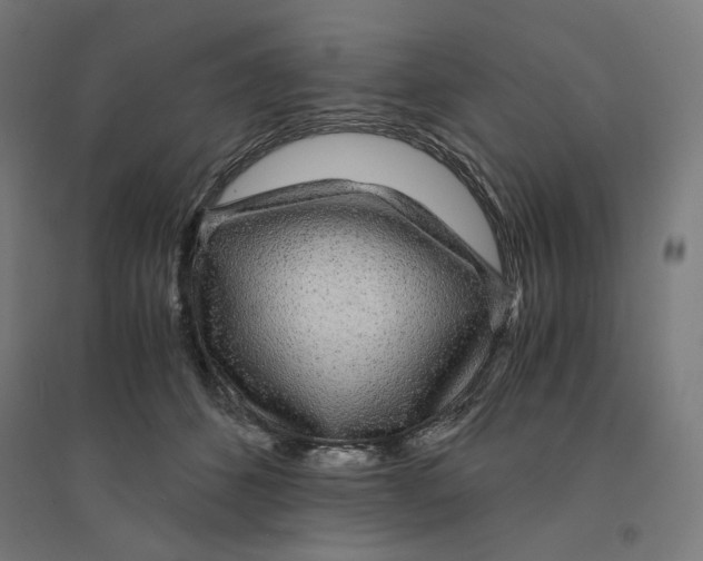 X0000094430512200712061116