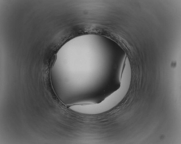 X0000094430513200712061116