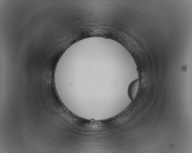 X0000094430514200712061116