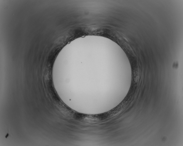 X0000094430515200712061116