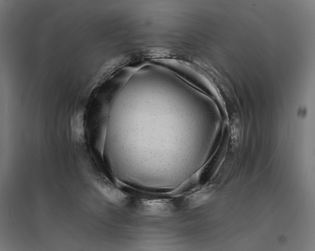 X0000094430516200712061116