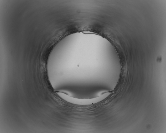 X0000094430521200712061116