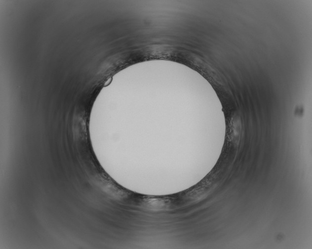 X0000094430522200712061116