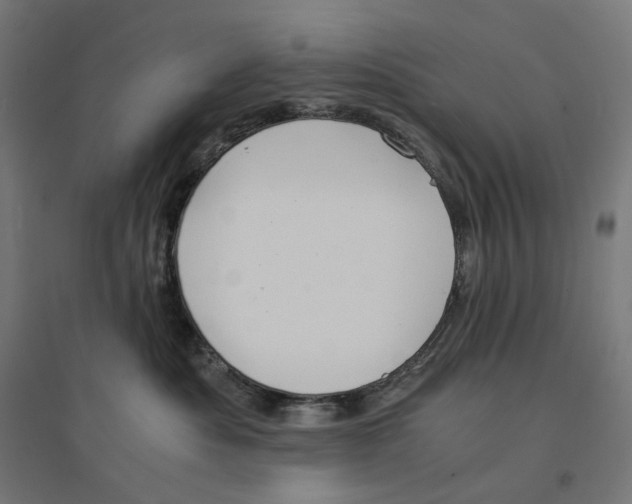 X0000094430525200712061116