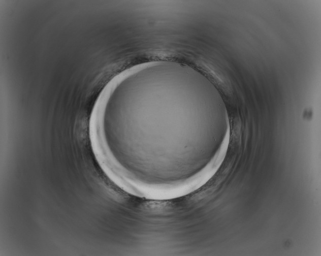 X0000094430526200712061116