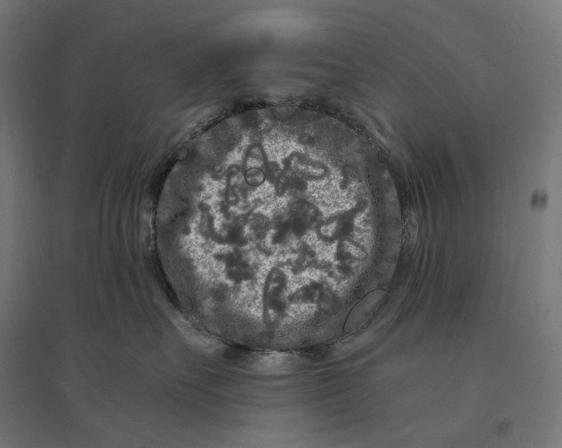 X0000094430527200712061116