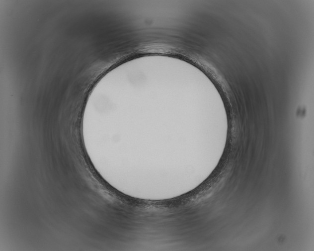 X0000094430529200712061116