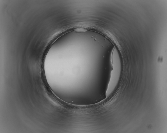 X0000094430530200712061116