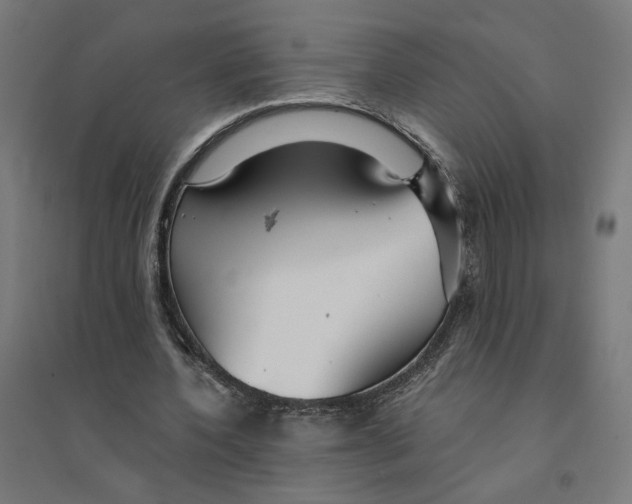 X0000094430532200712061116