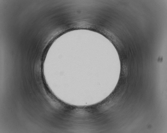 X0000094430534200712061116