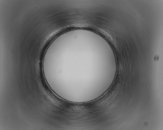 X0000094430535200712061116