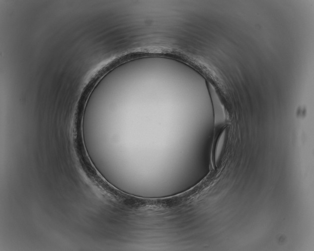 X0000094430536200712061116