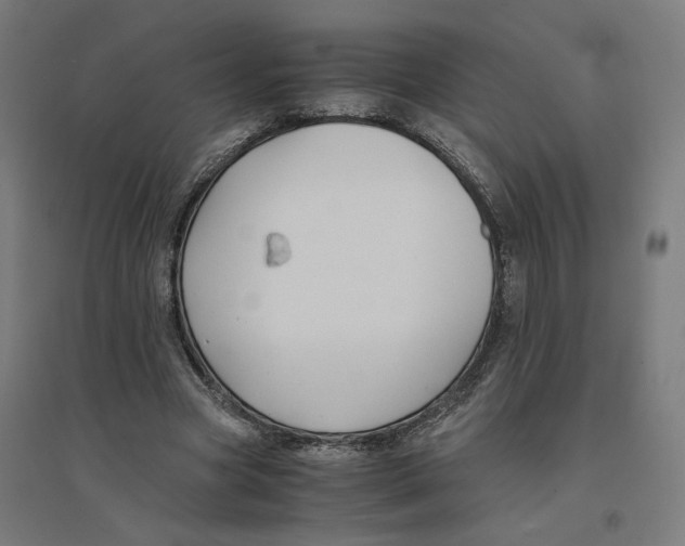 X0000094430537200712061116