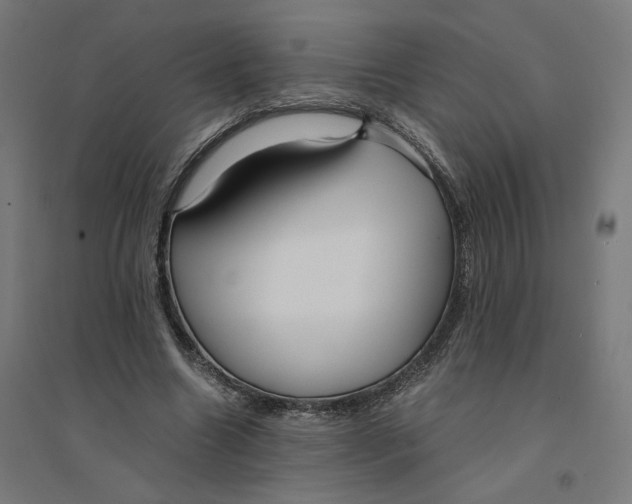 X0000094430538200712061116