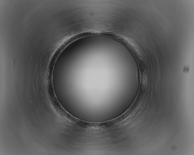 X0000094430540200712061116