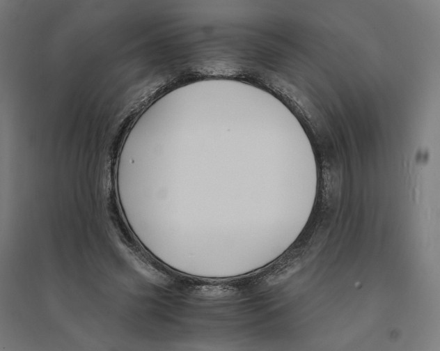 X0000094430541200712061116