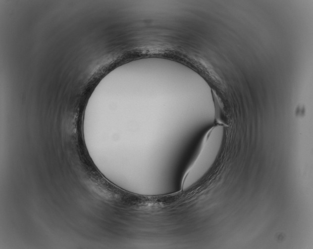 X0000094430543200712061116