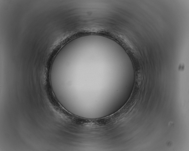 X0000094430544200712061116