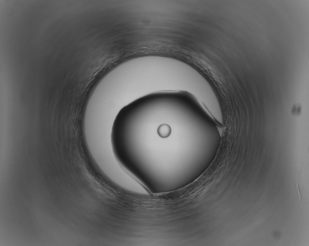 X0000094430546200712061116