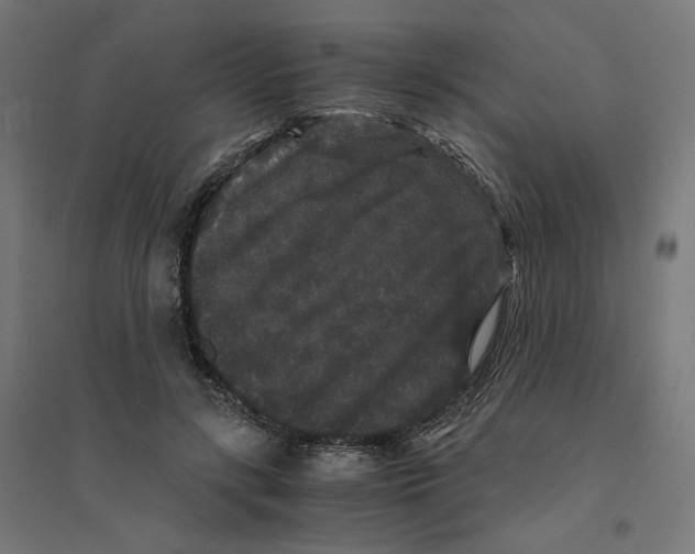 X0000094430547200712061116