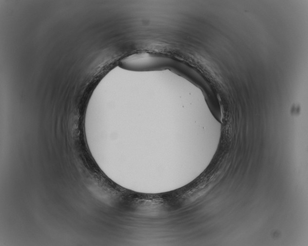 X0000094430548200712061116