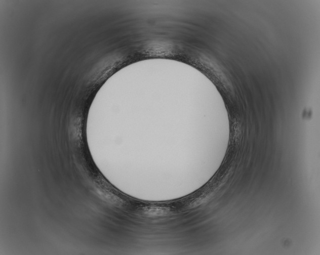 X0000094430549200712061116