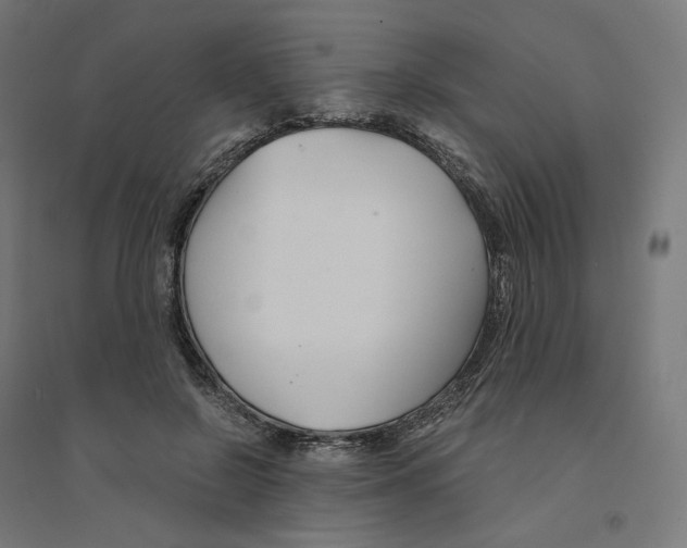 X0000094430550200712061116