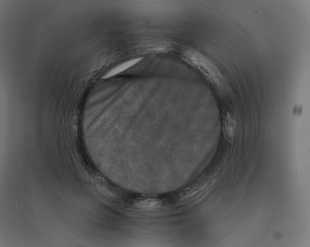 X0000094430551200712061116