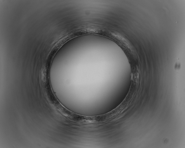 X0000094430552200712061116