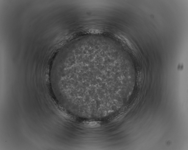 X0000094430553200712061116