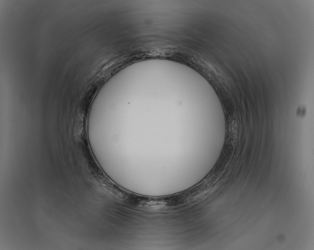 X0000094430554200712061116