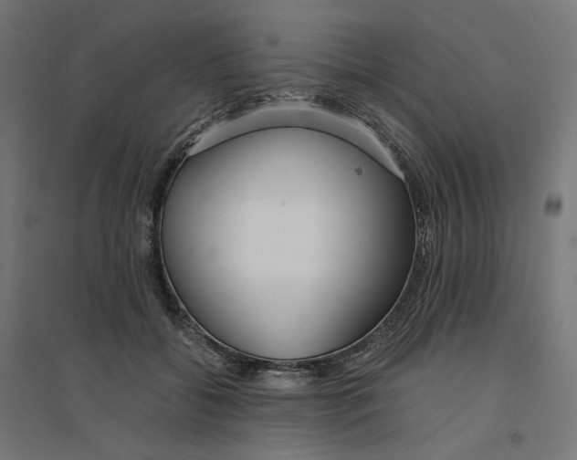 X0000094430556200712061116