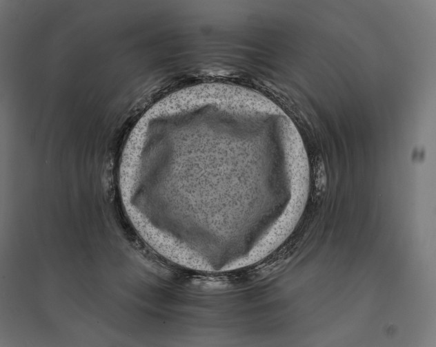 X0000094430559200712061116