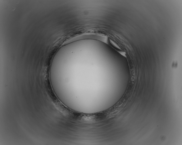 X0000094430560200712061116