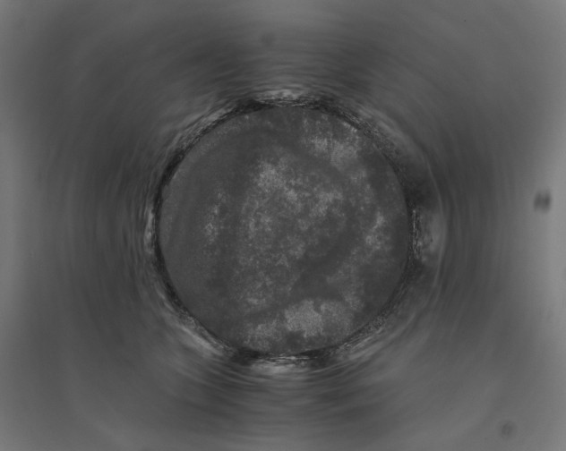 X0000094430563200712061116