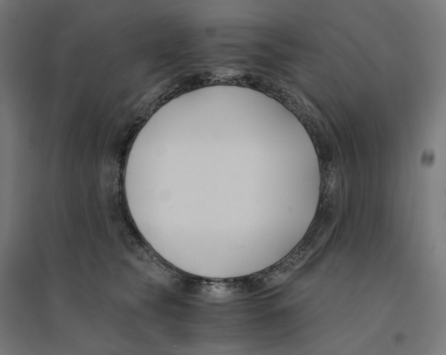 X0000094430565200712061116