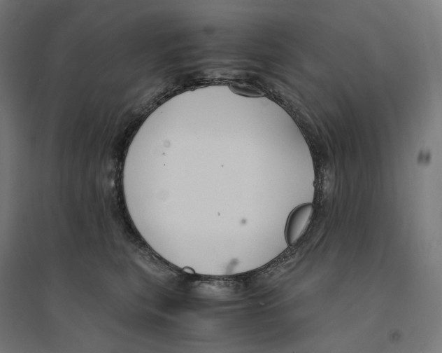 X0000094430567200712061116