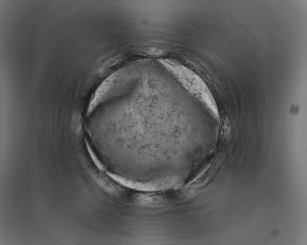 X0000094430568200712061116