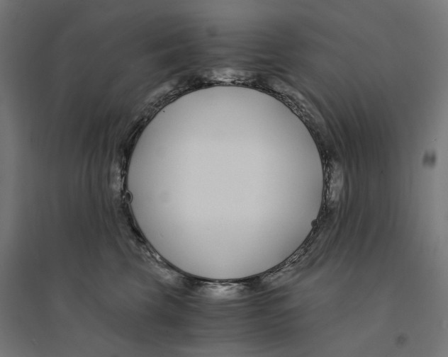 X0000094430569200712061116