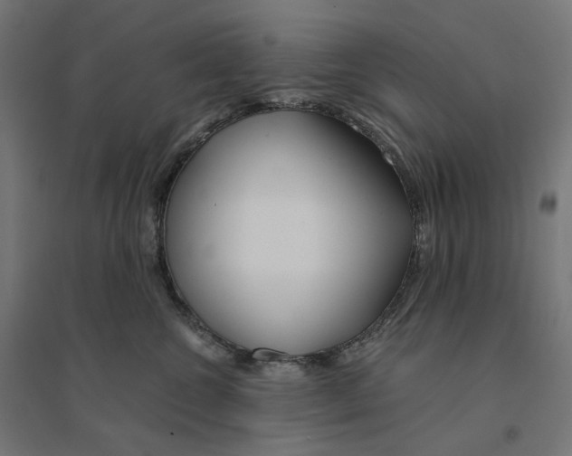 X0000094430572200712061116