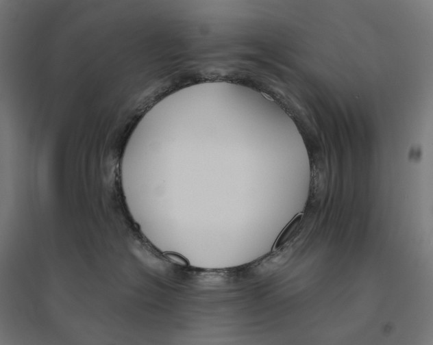 X0000094430574200712061116