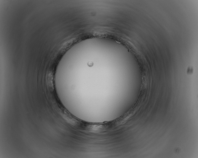 X0000094430575200712061116