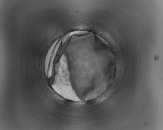 X0000094430576200712061116